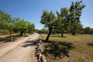 ポリェンサにあるCa'n Lluis - La Goleta Villasの畑の脇の木道