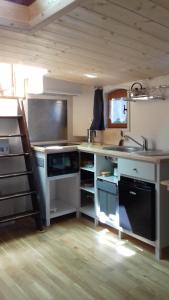 - une cuisine avec un évier et un comptoir dans l'établissement studio sur péniche La Tortue, à Ramonville-Saint-Agne