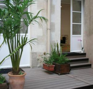 Quelques plantes en pots sur une terrasse couverte dans l'établissement Hypercentre Charmant 2 Chambres Au Calme avec Joli Patio Privatif, à Nantes