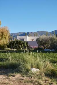 ein Grasfeld mit einem Haus im Hintergrund in der Unterkunft Finca Santana in Cachí