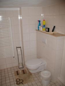 a white bathroom with a toilet and a sink at Haus an der Radau in Bad Harzburg