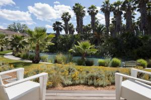 a garden with palm trees and a pond at Indian Springs Resort & Spa in Calistoga
