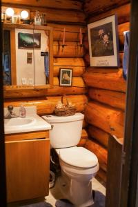 uma casa de banho com um WC e um lavatório num chalé de madeira em A Taste of Alaska Lodge em Fairbanks