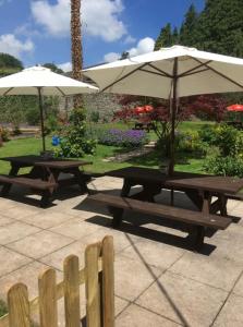 two picnic tables with umbrellas in a park at The Boyne Arms in Burwarton