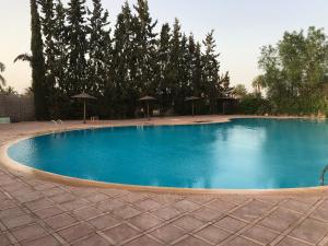 una gran piscina azul con árboles y sombrillas en Annakil Appart, en Marrakech