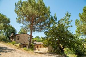 Foto dalla galleria di Agriturismo Bio Tra Cielo e Terra a Grutti