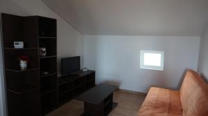 Et tv og/eller underholdning på Nicolae Romanescu Park