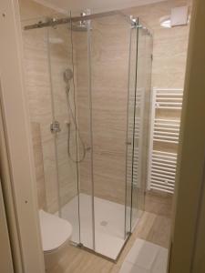 a shower stall in a bathroom with a toilet at Hotel Vegov Hram in Dol pri Ljubljani