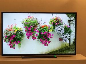 a television screen with flowers on a wall at Hollybrae house Sleeps up to 6 in Kirkcaldy