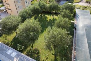 Zahrada ubytování Apartments Konte