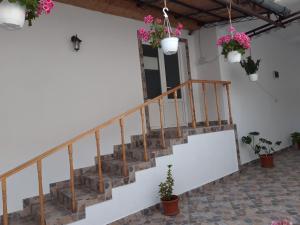Eftimie MurguにあるCasa Valea Morilorの鉢植えの建物の階段