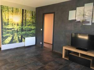 TV a/nebo společenská místnost v ubytování Gîte aux Portes d'Aubrac