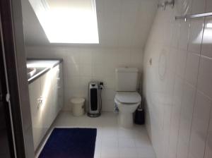 a small bathroom with a toilet and a sink at B&B Agnes in Vlissegem +9 photos