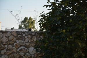 Fotografie z fotogalerie ubytování Lotus Sea View Apartments v destinaci Lixouri