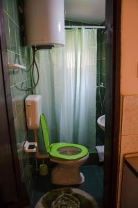 uma casa de banho com um WC verde e um lavatório em Studio-apartman Milena em Podgorica