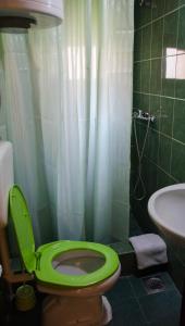 uma casa de banho com um WC verde e um lavatório em Studio-apartman Milena em Podgorica