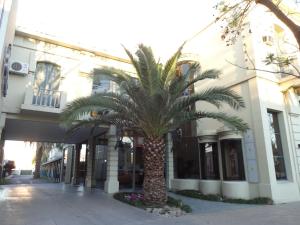 uma palmeira em frente a um edifício em Hotel Plaza Rafaela em Rafaela