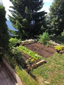Zahrada ubytování Hôtel Le Grand Chalet