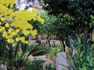 Vonkajšia záhrada v ubytovaní Candalù - Villa Giardinata