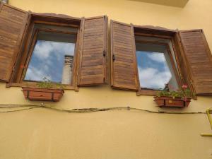 three windows on a building with plants in them at Sara House in Bistriţa