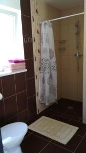 a bathroom with a shower with a toilet and a shower curtain at Brīvdienu māja INESE in Bernāti +5 photos