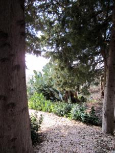 Vonkajšia záhrada v ubytovaní Candalù - Villa Giardinata
