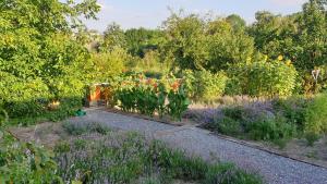 einen Garten mit lila und orangefarbenen Blumen und Bäumen in der Unterkunft Agroturystyka u Joli in Pacanów