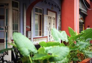 a front porch of a house with green plants at Great Shanghai Guesthouse in George Town