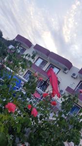 a building with a red umbrella in front of it at Rose Hotel B&B in Patara