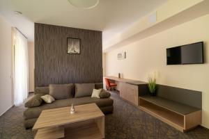 TV a/nebo společenská místnost v ubytování Easy Suites Hévíz
