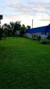 a large field of grass with a blue tent at Rose Hotel B&B in Patara +37 photos