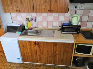 a kitchen with a sink and a microwave at Ferienhaus Hlidek in Nová Lhota