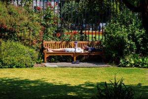 สวนหย่อมนอก Trinity College - Campus Accommodation