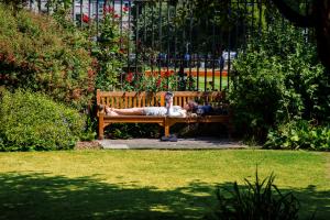 Jardín al aire libre en Trinity College - Campus Accommodation