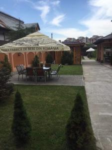 Κήπος έξω από το Casa Onyx