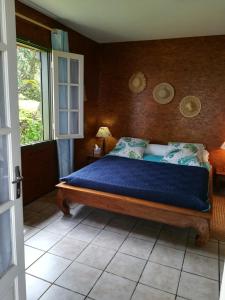 een slaapkamer met een bed met blauwe lakens en een raam bij L'ESTAGNON in La Plaine des Cafres