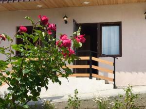 Dārzs pie naktsmītnes Soso Burduli's Guesthouse