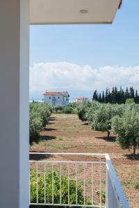 Zahrada ubytování Emerald House