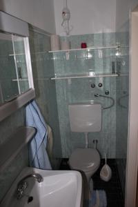 コイチャッハ・アム・ゼーにあるFerienhaus Hübnerのバスルーム(トイレ、洗面台、シャワー付)