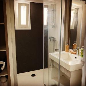 a bathroom with a shower and a sink at Chalet 3 chambres en Bois dans les landes n37 in Tosse +22 photos