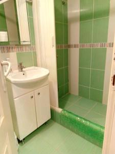 un bagno verde con lavandino e doccia di Apartment Vojinovic a Arandjelovac