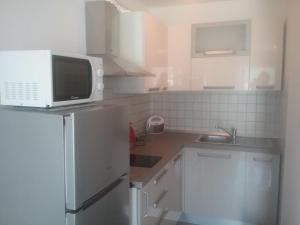 Küche/Küchenzeile in der Unterkunft Apartman zarok