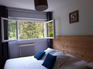 ein Schlafzimmer mit einem Bett mit zwei Kissen und einem Fenster in der Unterkunft La villa Du Port in Veyrier-du-Lac