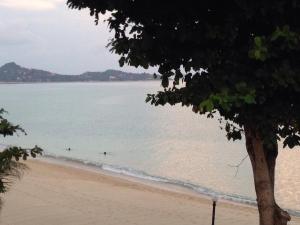 a view of the beach from a tree at Sunrise Bungalow in Lamai