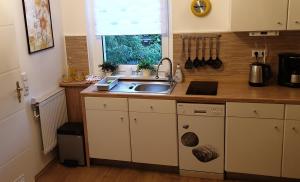 Virtuvė arba virtuvėlė apgyvendinimo įstaigoje Gartenblick Delitzsch