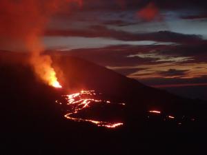 Náttúran í nágrenni sumarhússins