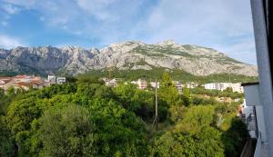 Příroda nedaleko apartmánu