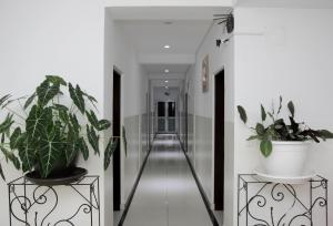 Fotografie z fotogalerie ubytování Hôtel Sky blue Mada v destinaci Alasora