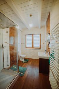 La salle de bains est pourvue d'une douche, d'un lavabo et de toilettes. dans l'établissement Trzy Stawy, à Pysznica