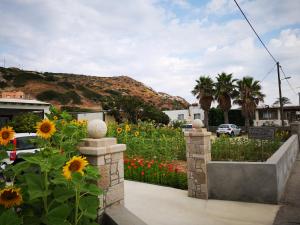 a garden with sunflowers and palm trees at Eleni Studios in Kefalos